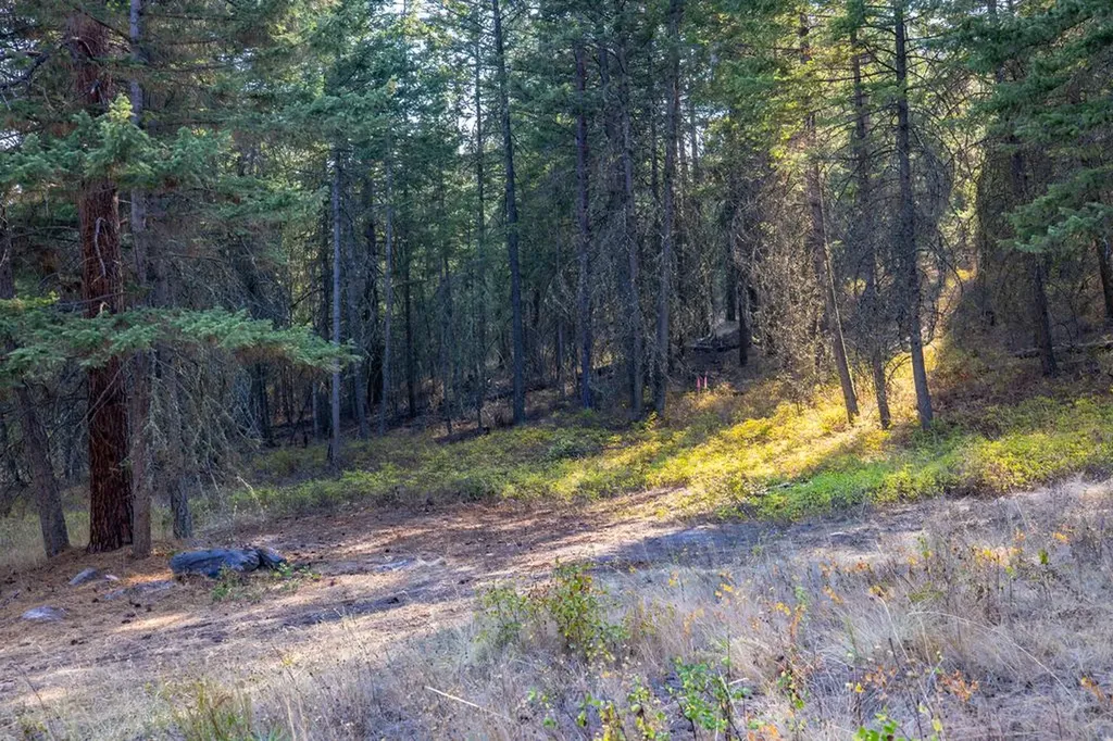 Nhn Us Highway 93 Polson MT 59860