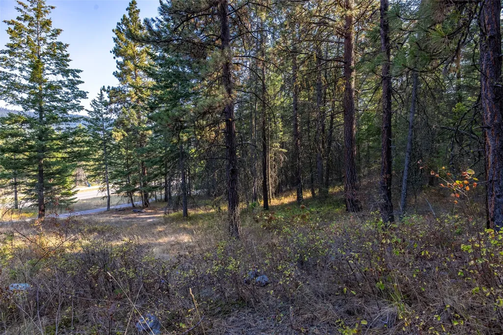 Nhn Us Highway 93 Polson MT 59860