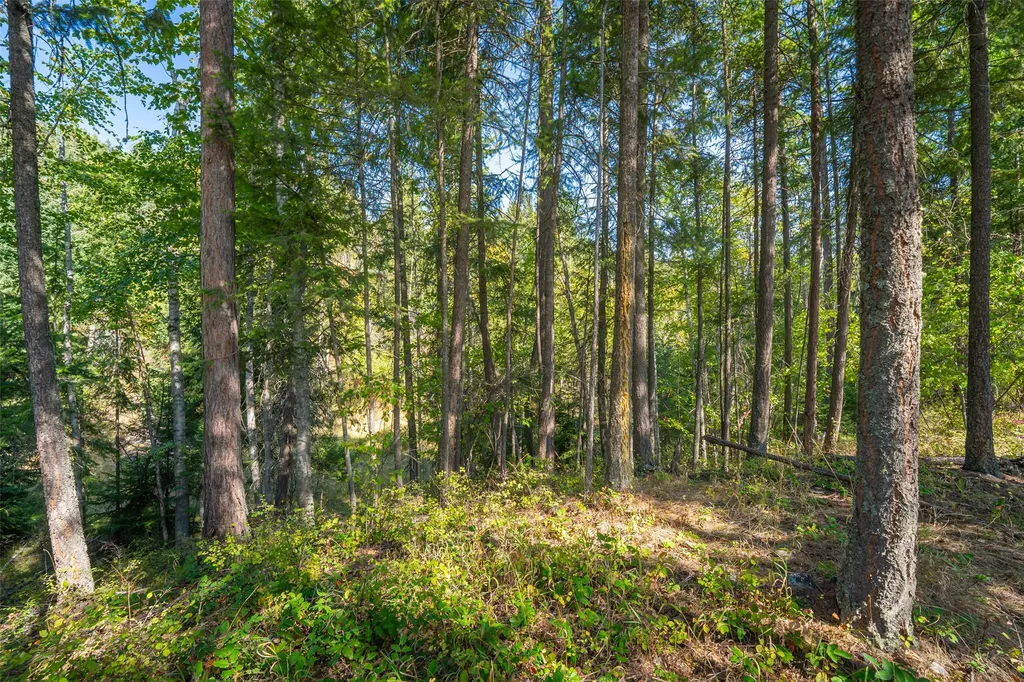 150 & 156 Peters Creek Way Kalispell MT 59901