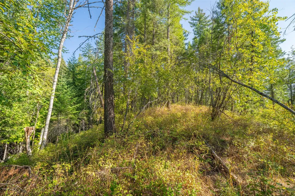 150 & 156 Peters Creek Way Kalispell MT 59901