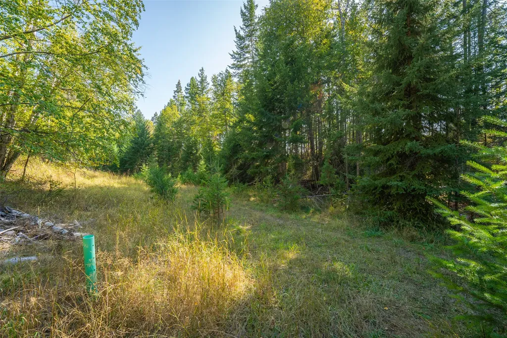 150 & 156 Peters Creek Way Kalispell MT 59901