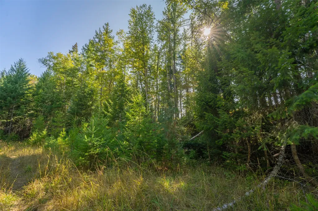 150 & 156 Peters Creek Way Kalispell MT 59901