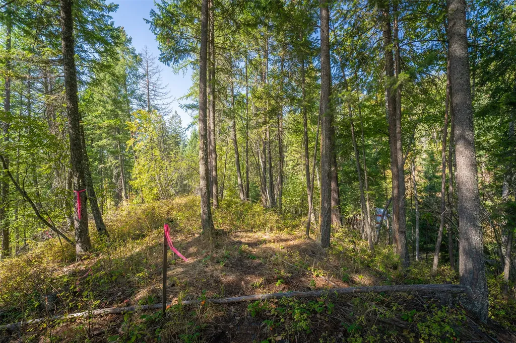 150 & 156 Peters Creek Way Kalispell MT 59901