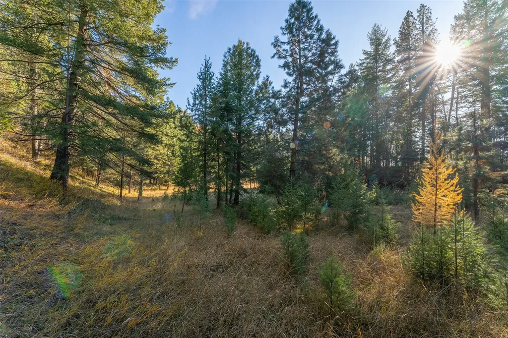 150 & 156 Peters Creek Way Kalispell MT 59901