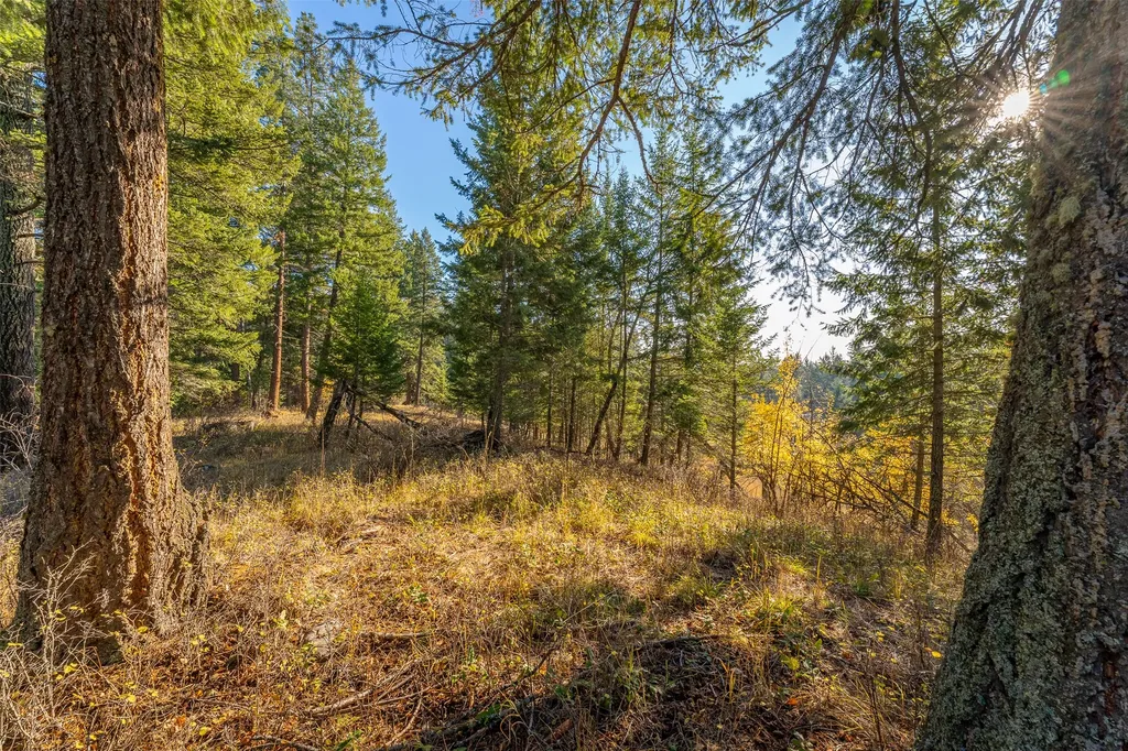 150 & 156 Peters Creek Way Kalispell MT 59901