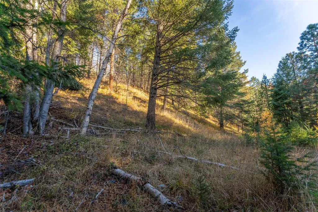 150 & 156 Peters Creek Way Kalispell MT 59901