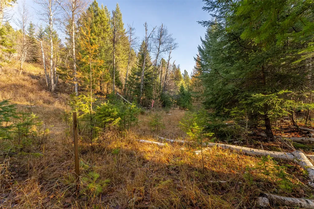 150 & 156 Peters Creek Way Kalispell MT 59901