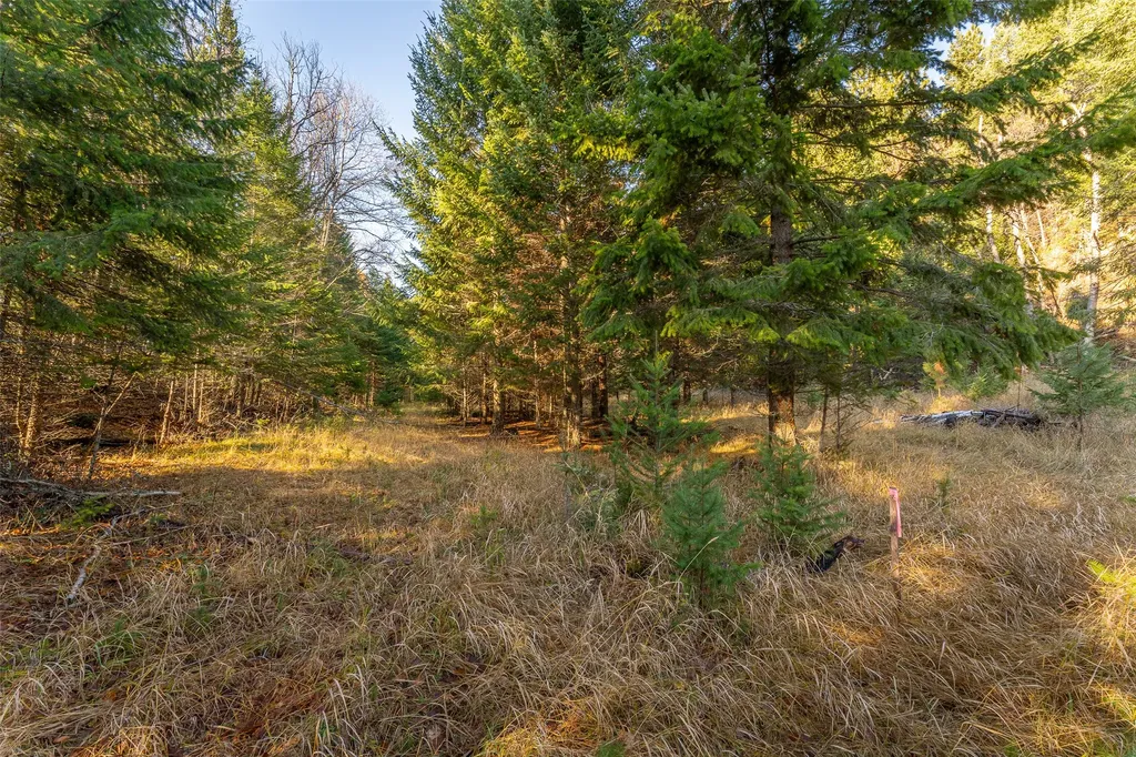 150 & 156 Peters Creek Way Kalispell MT 59901