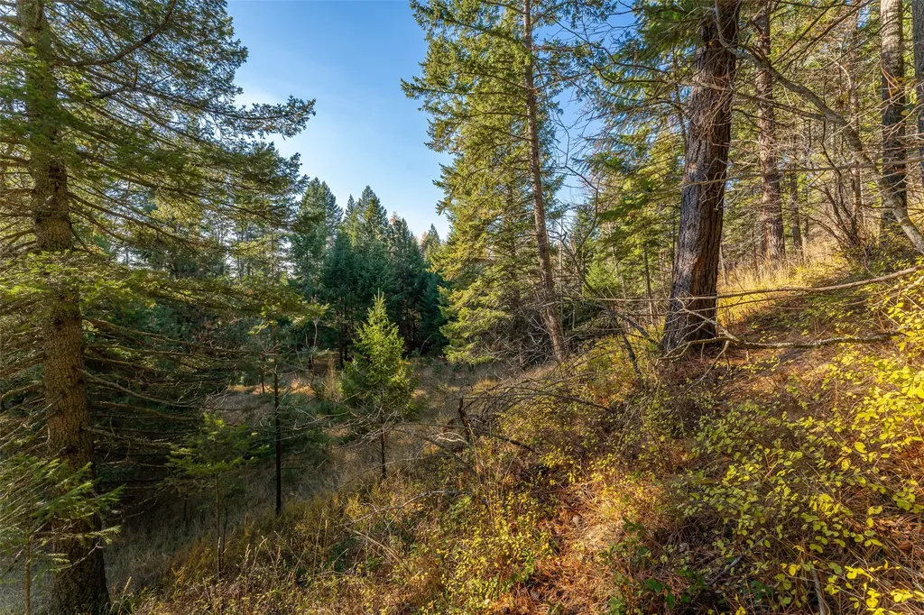 150 & 156 Peters Creek Way Kalispell MT 59901