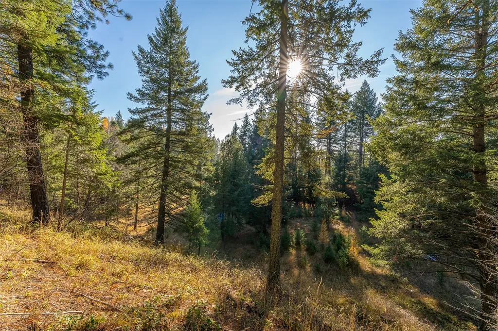 150 & 156 Peters Creek Way Kalispell MT 59901