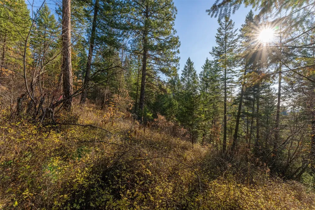 150 & 156 Peters Creek Way Kalispell MT 59901