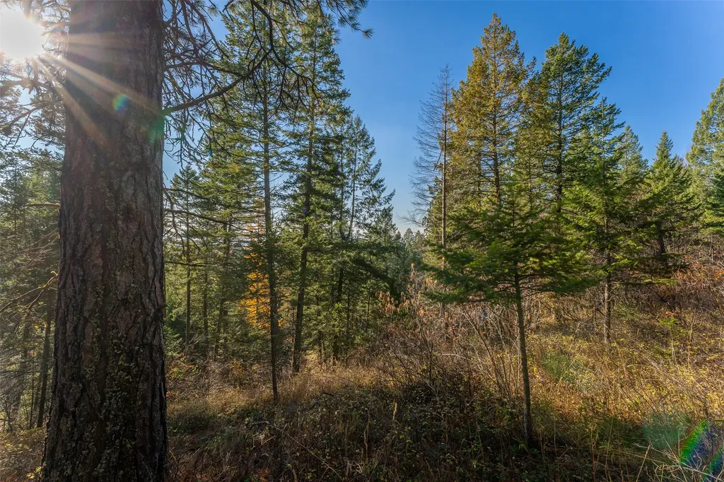 150 & 156 Peters Creek Way Kalispell MT 59901