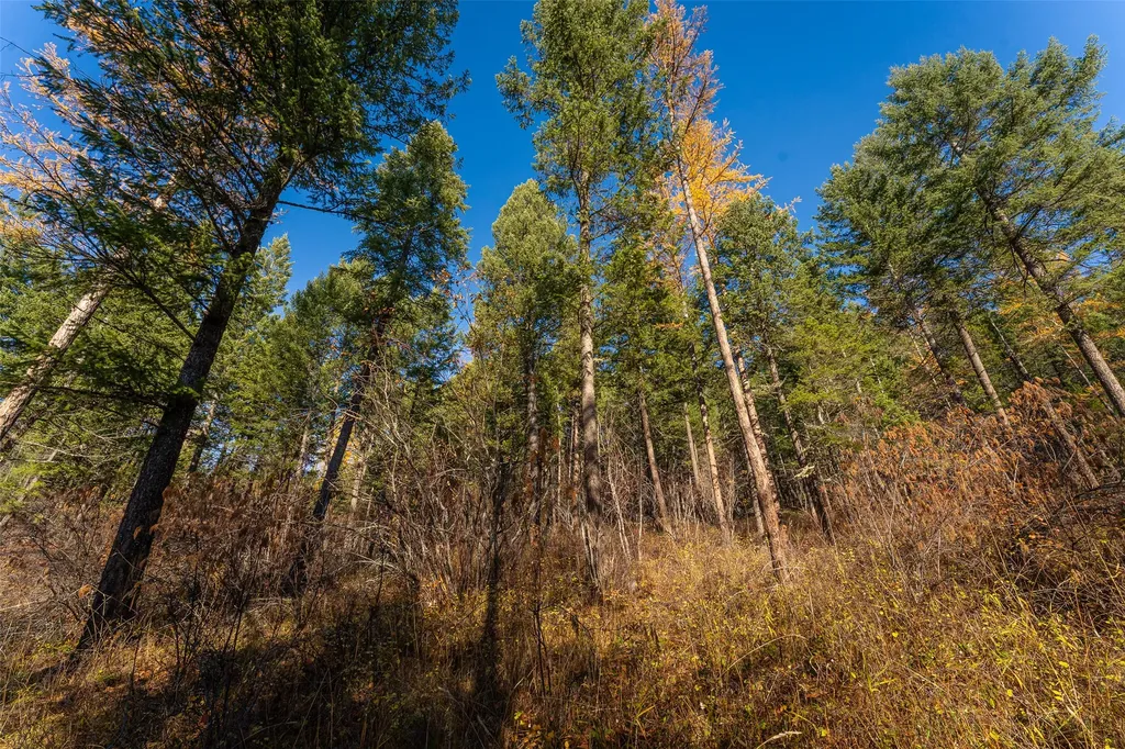150 & 156 Peters Creek Way Kalispell MT 59901