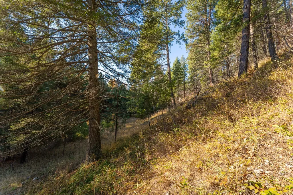 150 & 156 Peters Creek Way Kalispell MT 59901