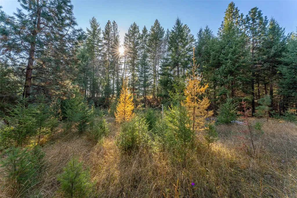 150 & 156 Peters Creek Way Kalispell MT 59901