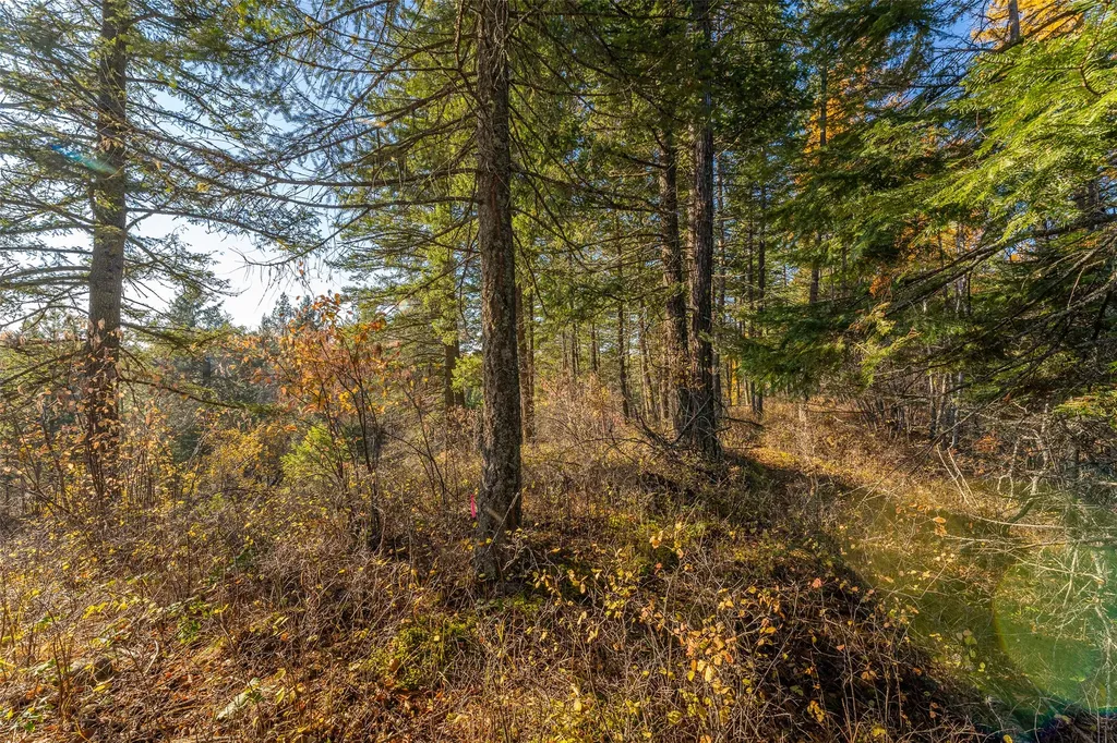 150 & 156 Peters Creek Way Kalispell MT 59901