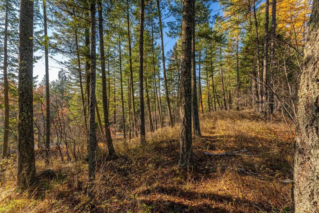 150 & 156 Peters Creek Way Kalispell MT 59901
