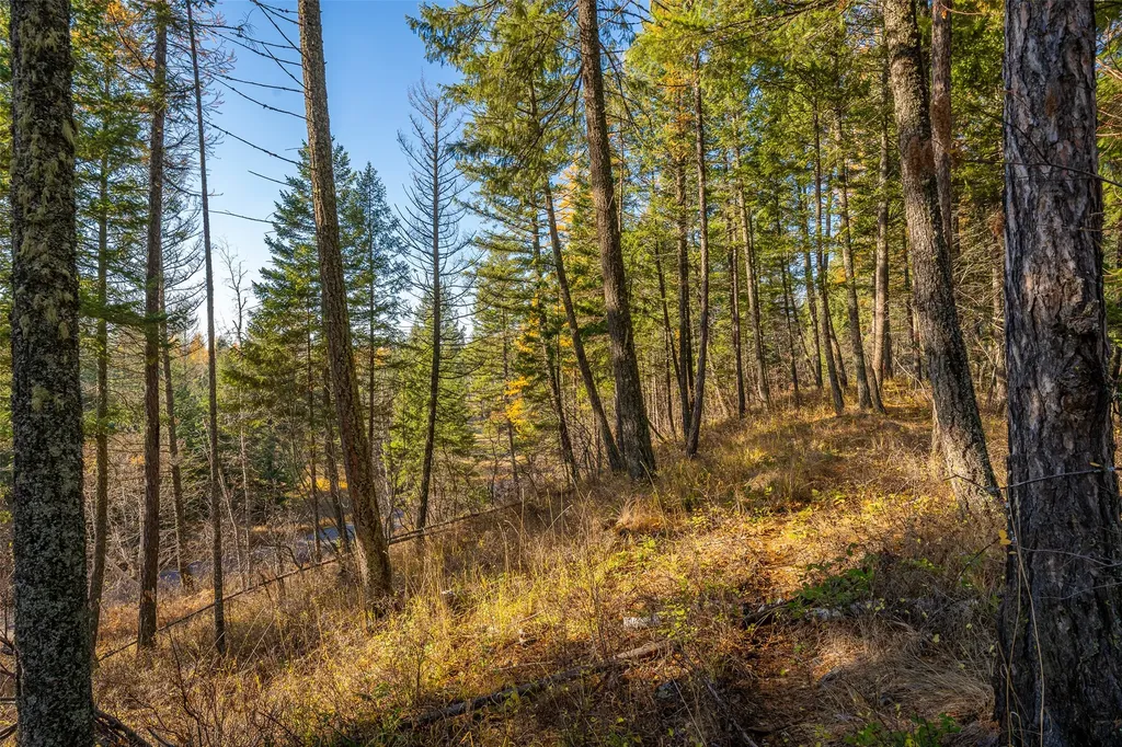 150 & 156 Peters Creek Way Kalispell MT 59901
