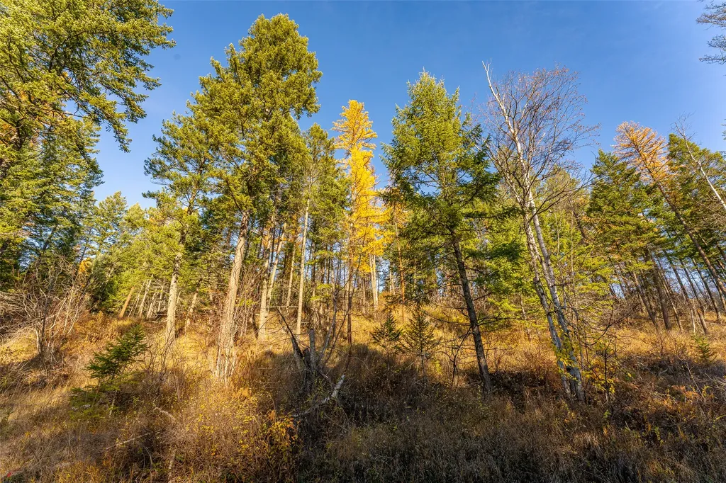 150 & 156 Peters Creek Way Kalispell MT 59901