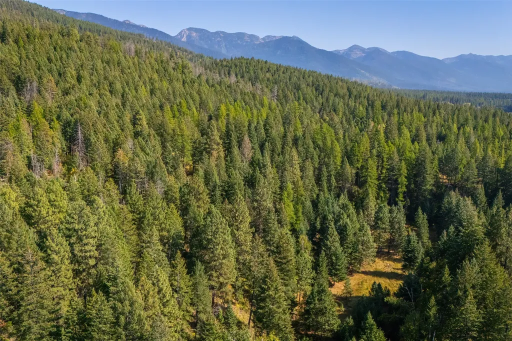 150 & 156 Peters Creek Way Kalispell MT 59901