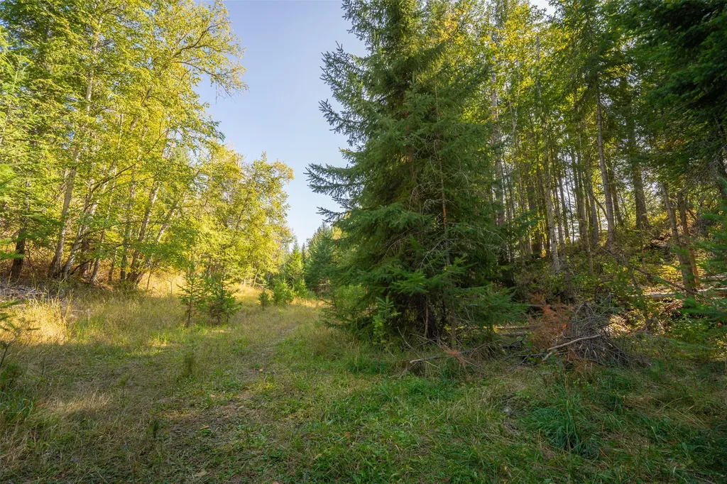 150 & 156 Peters Creek Way Kalispell MT 59901
