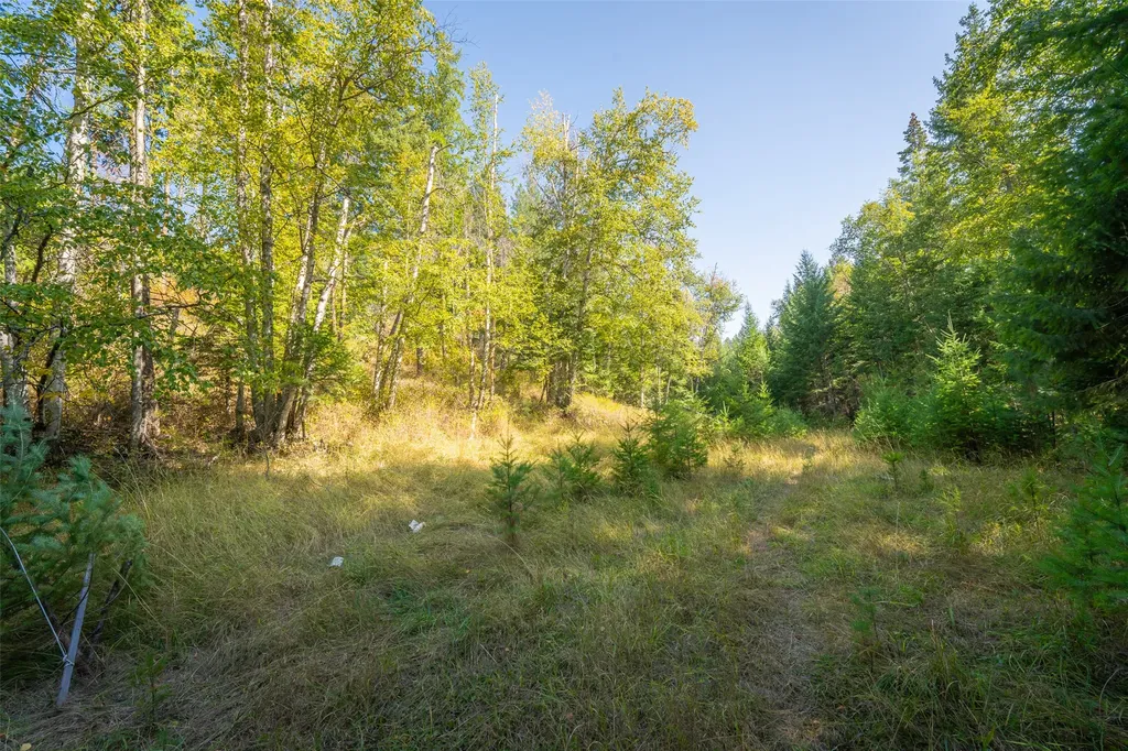 150 & 156 Peters Creek Way Kalispell MT 59901