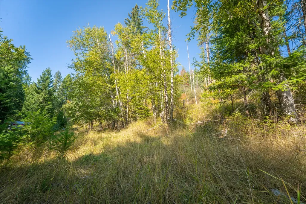 150 & 156 Peters Creek Way Kalispell MT 59901