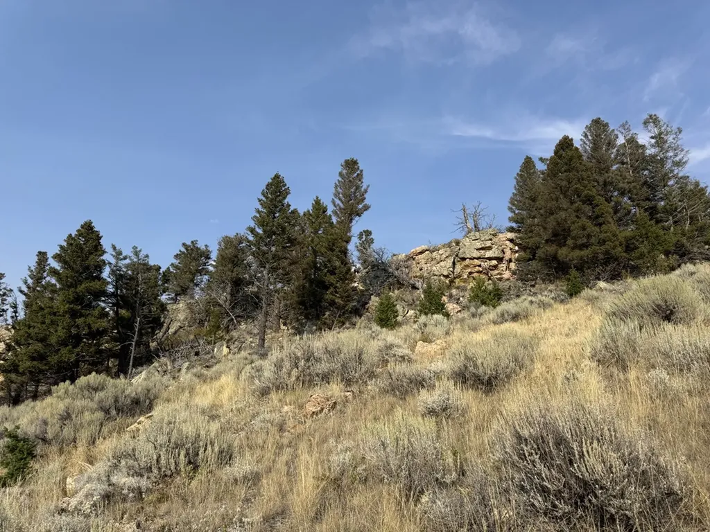80 Lake Loop Drive White Sulphur Springs MT 59645