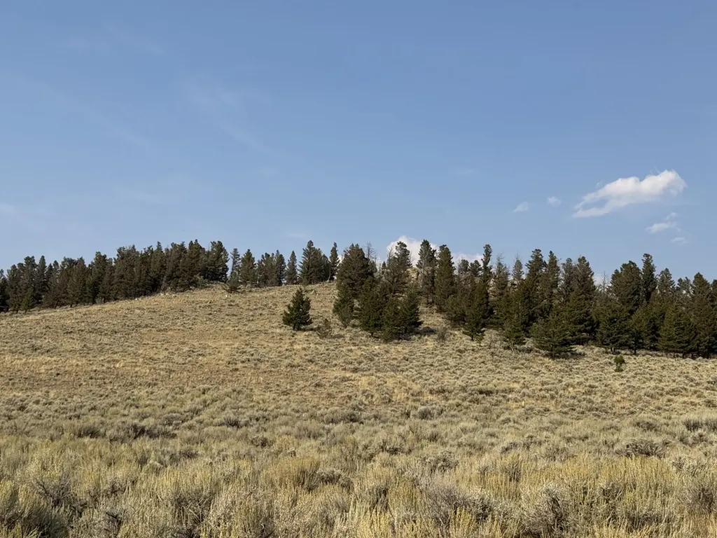 80 Lake Loop Drive White Sulphur Springs MT 59645