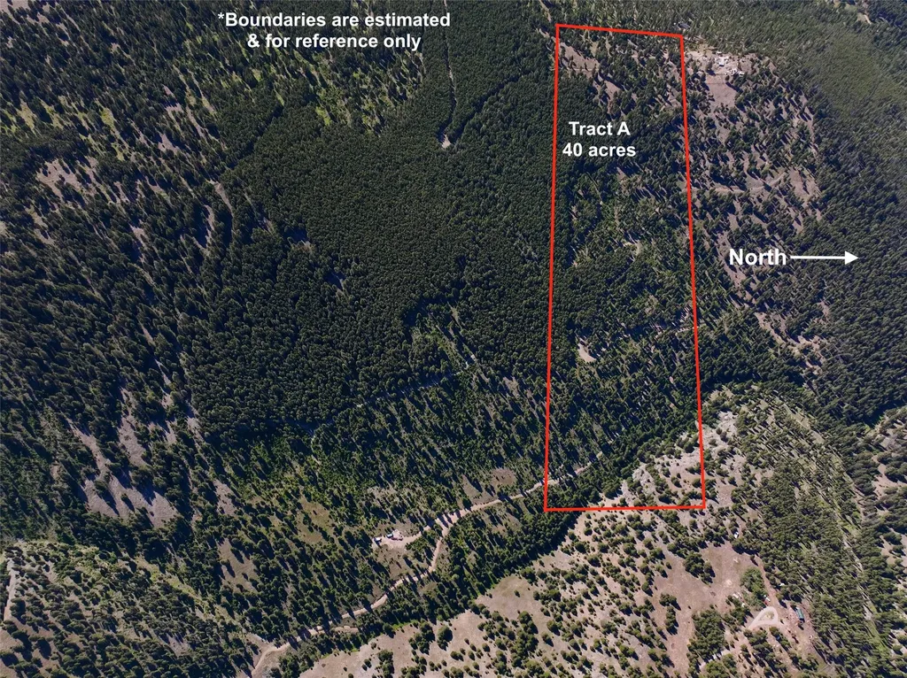 Tbd A Chimney Lakes Road Helmville MT 59843