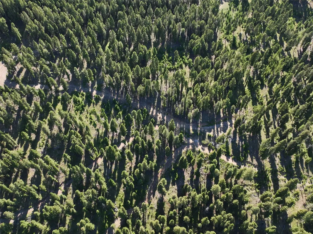 Tbd A Chimney Lakes Road Helmville MT 59843