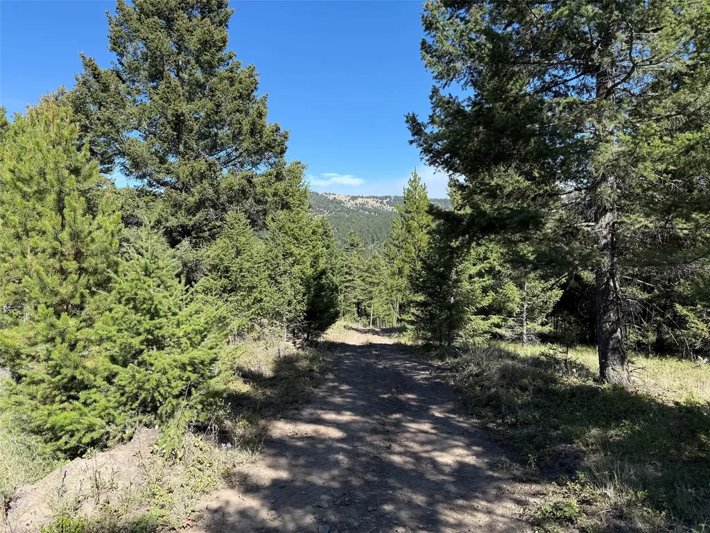 Tbd A Chimney Lakes Road Helmville MT 59843