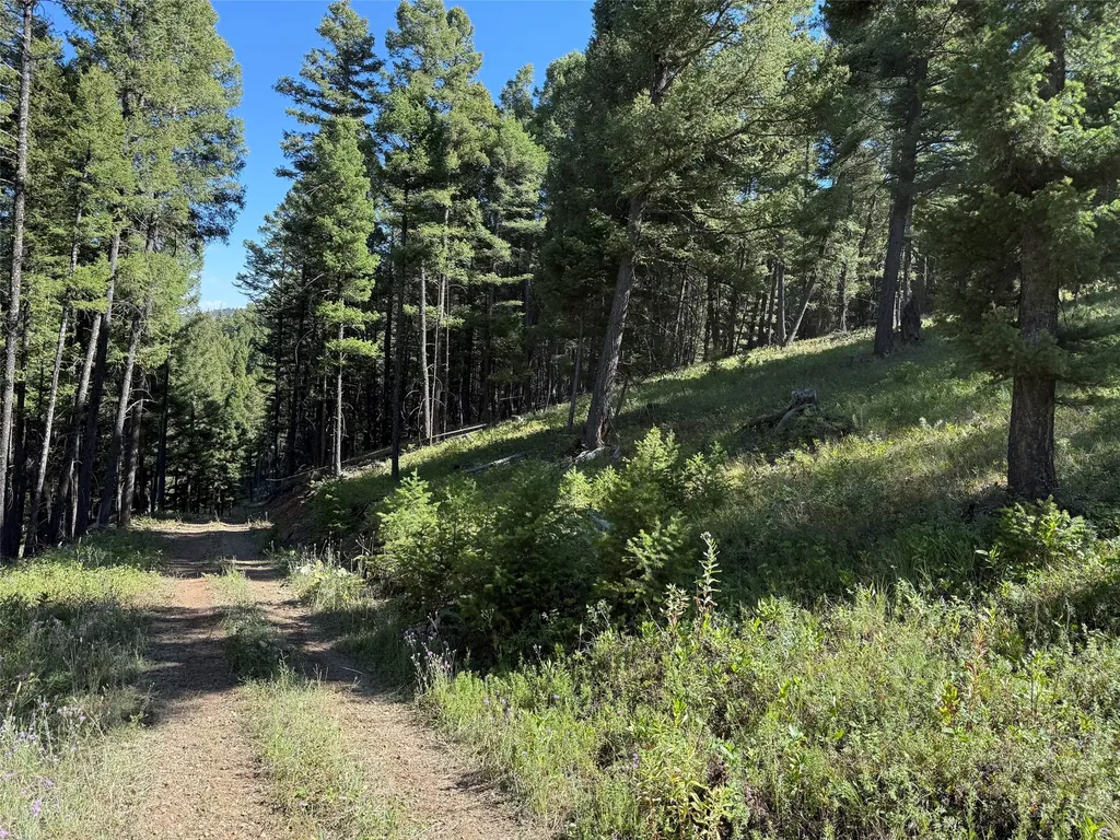 Tbd A Chimney Lakes Road Helmville MT 59843