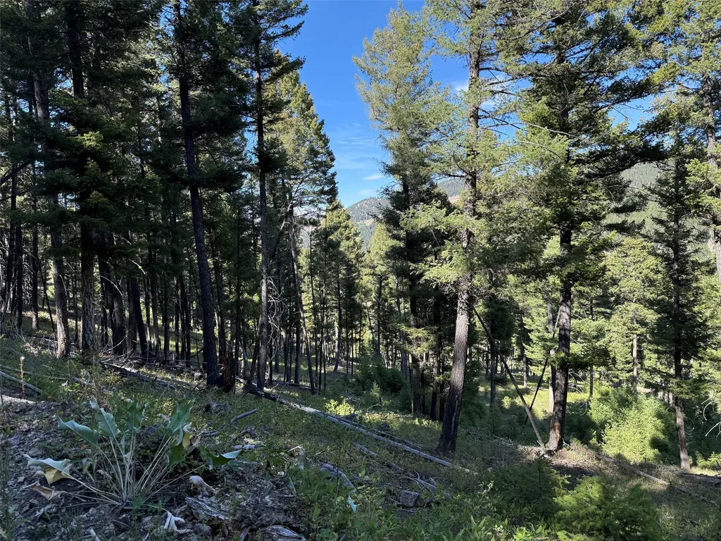 Tbd A Chimney Lakes Road Helmville MT 59843