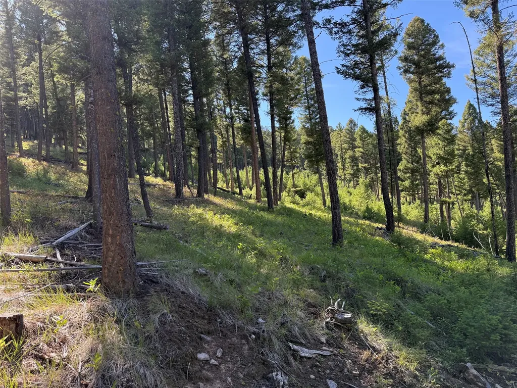 Tbd A Chimney Lakes Road Helmville MT 59843