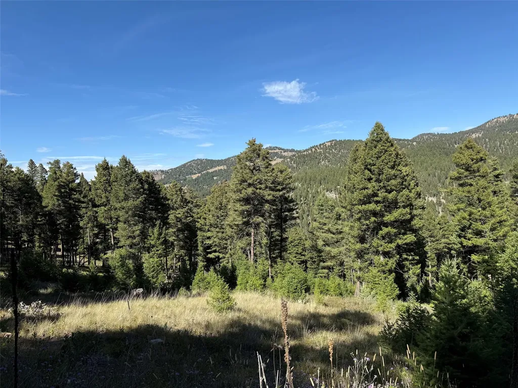 Tbd A Chimney Lakes Road Helmville MT 59843