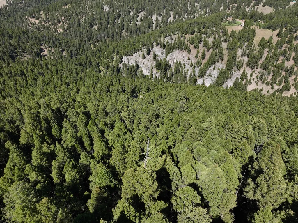 Tbd A Chimney Lakes Road Helmville MT 59843