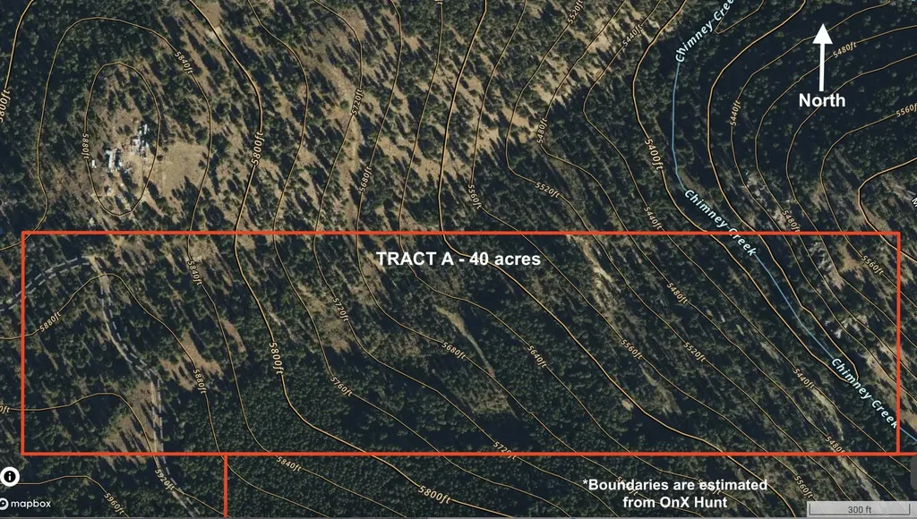 Tbd A Chimney Lakes Road Helmville MT 59843