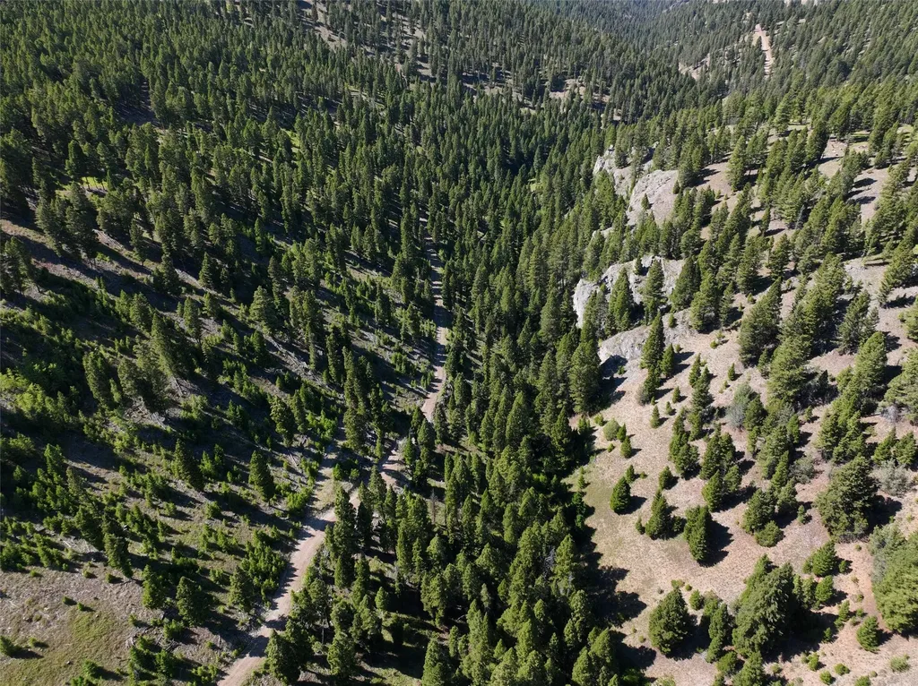 Tbd A Chimney Lakes Road Helmville MT 59843