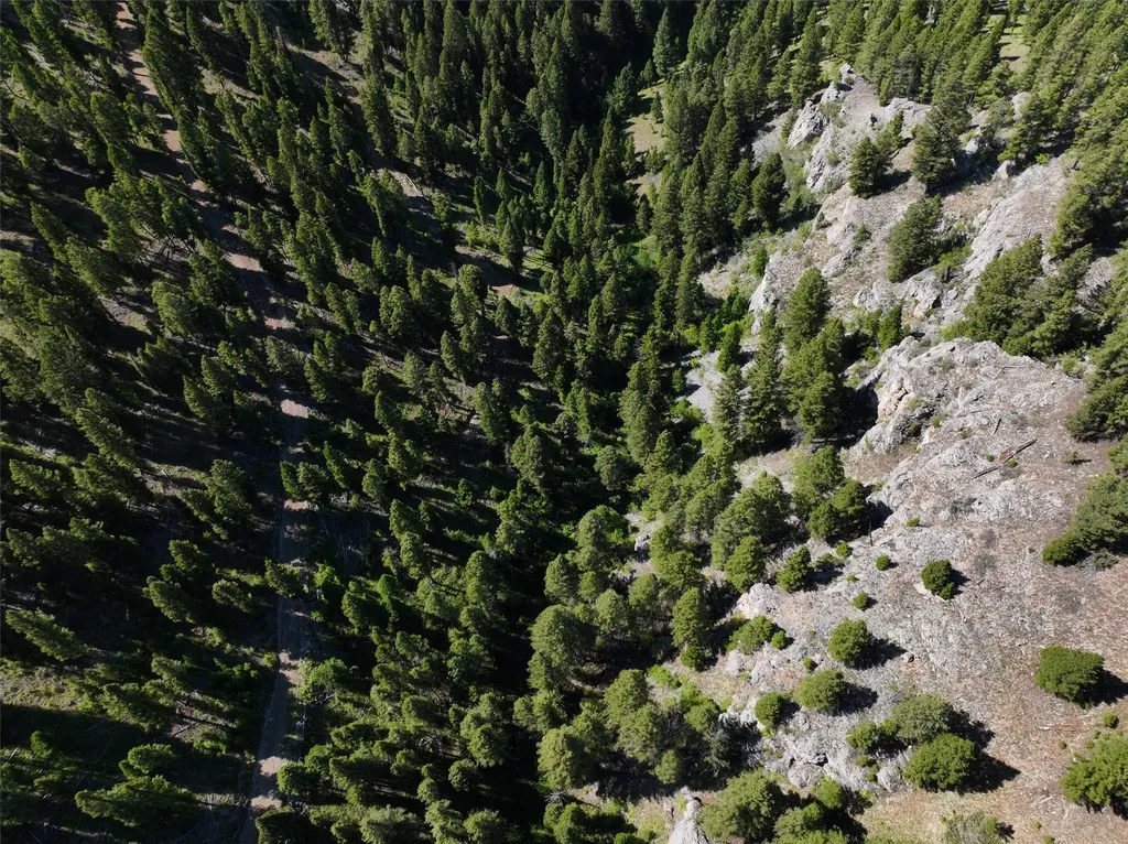 Tbd A Chimney Lakes Road Helmville MT 59843
