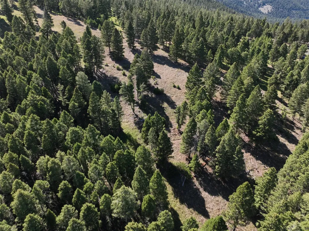 Tbd A Chimney Lakes Road Helmville MT 59843