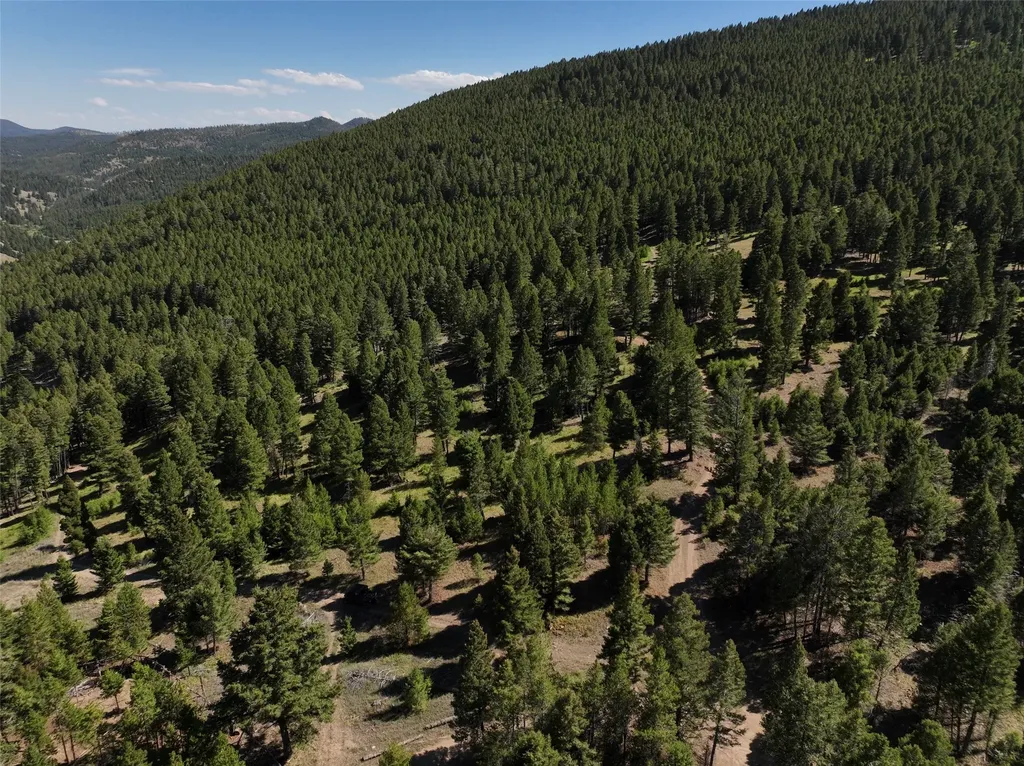 Tbd A Chimney Lakes Road Helmville MT 59843