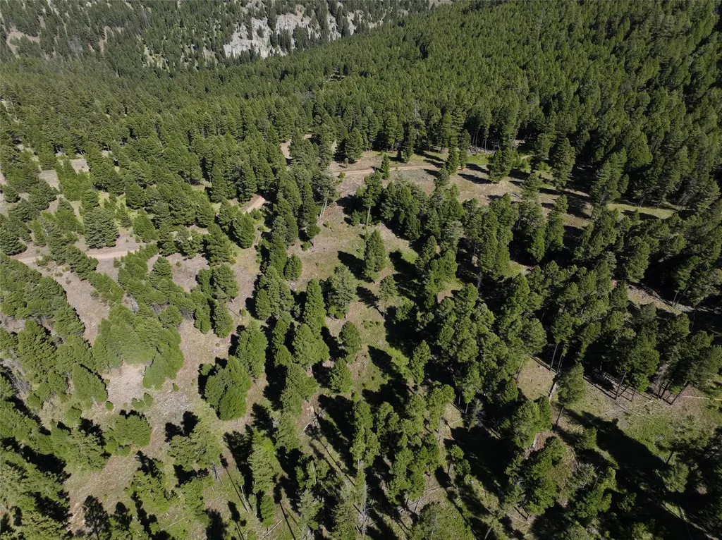 Tbd A Chimney Lakes Road Helmville MT 59843