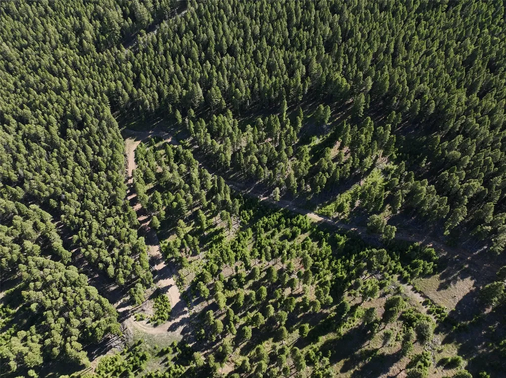 Tbd A Chimney Lakes Road Helmville MT 59843