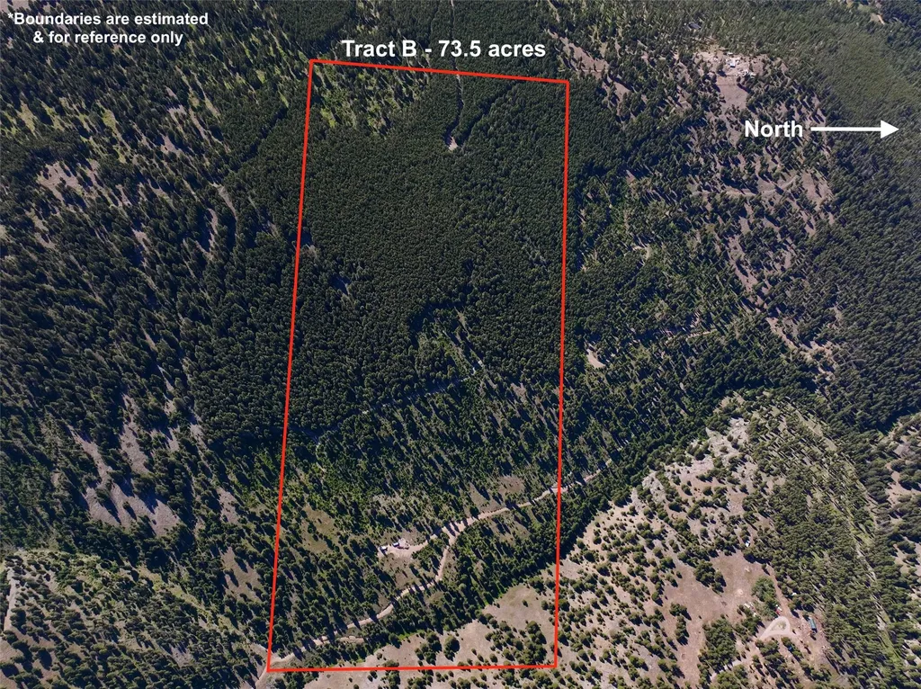 Tbd B Chimney Lakes Road Helmville MT 59843
