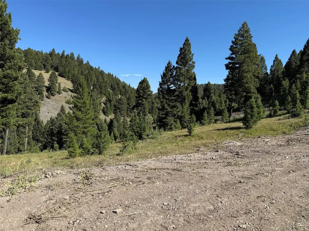 Tbd B Chimney Lakes Road Helmville MT 59843