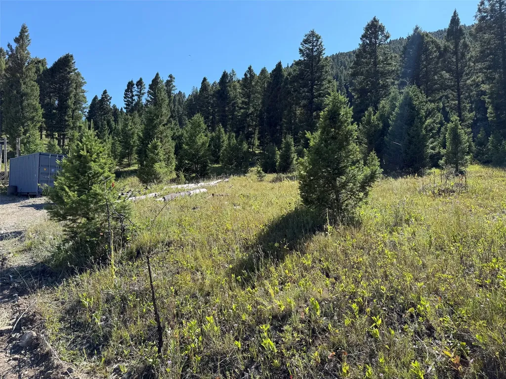 Tbd B Chimney Lakes Road Helmville MT 59843