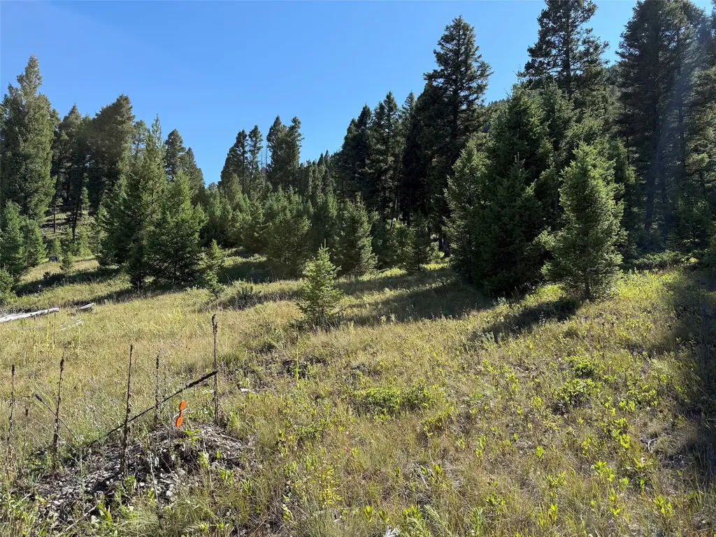 Tbd B Chimney Lakes Road Helmville MT 59843