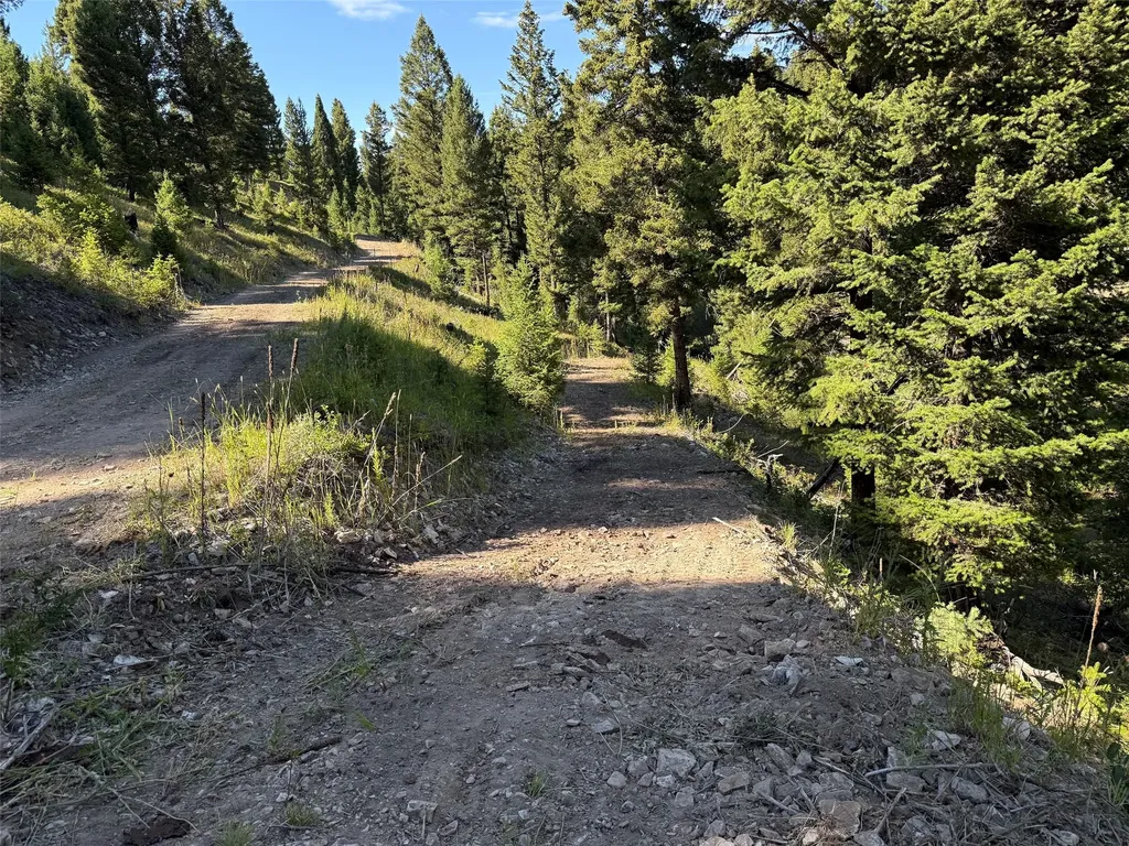Tbd B Chimney Lakes Road Helmville MT 59843