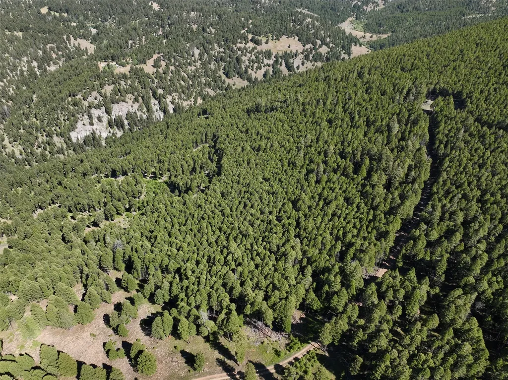 Tbd B Chimney Lakes Road Helmville MT 59843